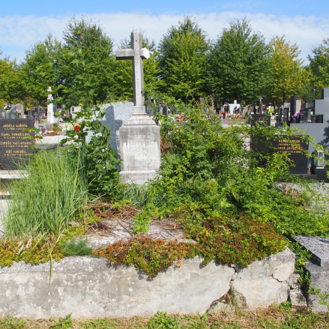 Tombe de la famille Baczakiewicz avec une croix en pierre sur un piédestal à deux niveaux. La croix a un bras droit manquant et des trous d'une figure du Christ. La tombe est entourée de verdure.