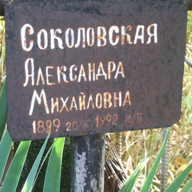 Plaque en métal avec inscription en russe sur une croix, partie de la tombe d'Aleksandra Sokolovskaya. Entourée d'herbe et de mauvaises herbes.