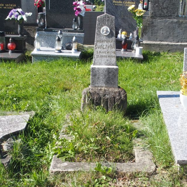 Могила Герміни Свачиної, позначена обеліском з хрестом та овальним медальйоном із бюстом дитини. Нижче напис. Оточена травою та іншими могилами.