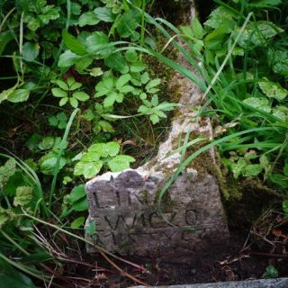 Nagrobek [...]lina [...]jewiczo [...], cmentarz na Rossie w Wilnie, stan z 2013
