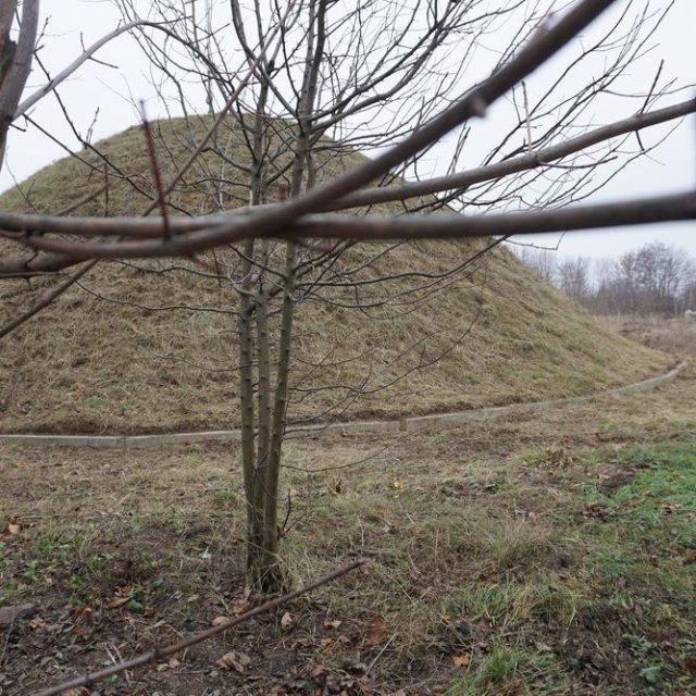 Trawiasty kopiec z nagim drzewem na pierwszym planie, znajdujący się na cmentarzu przy drodze do Tartakowa. Kopiec jest miejscem pochówku powstańców styczniowych.