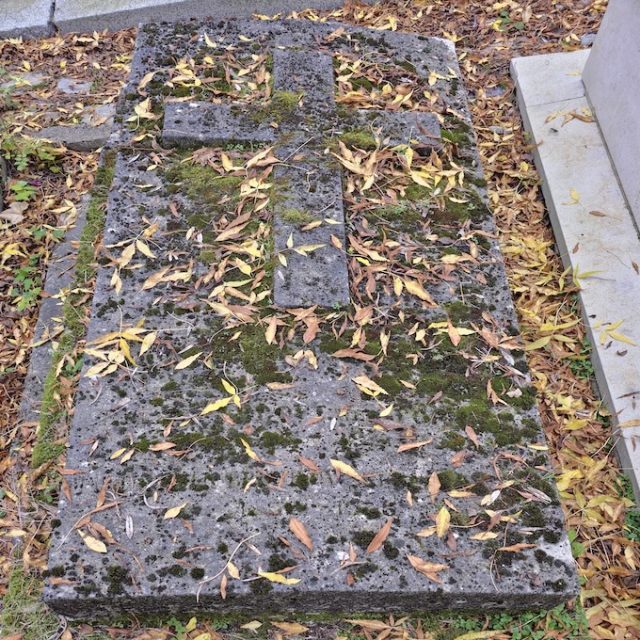 Gravestone of the Oppeln-Bronikowski family with a slanted, moss-covered slab featuring a relief Latin cross. Fallen leaves cover the surface. Inscriptions are engraved on the left and right of the cross and below it.