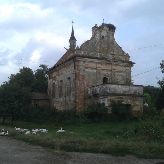 Ruines de l'église Sainte-Catherine à Uhryniv, montrant une façade en brique détériorée avec un toit endommagé et une petite tour. La végétation pousse autour de la structure, et des oies sont visibles au premier plan.