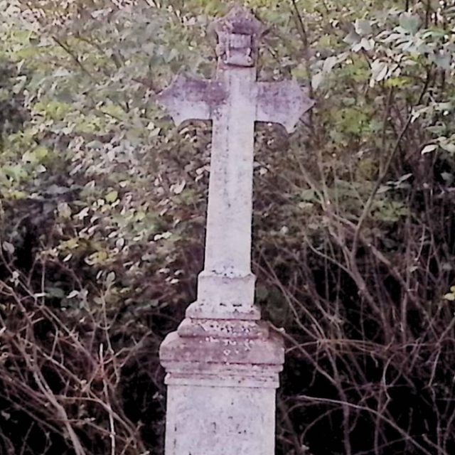 Pierre tombale de Franciszka Fajfer avec une base à deux niveaux et une croix avec une petite croix à l'intersection de ses bras. La croix a un relief titulus au-dessus et est entourée de feuillage dense.