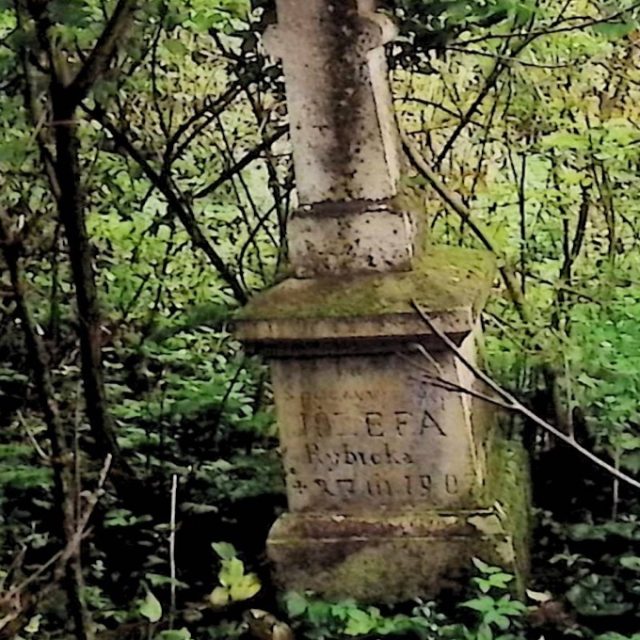 Pierre tombale de Józefa Rybicka avec une croix sur un piédestal à deux niveaux, entourée de végétation dense. La croix a des extrémités en trèfle et une inscription est visible à l'avant.