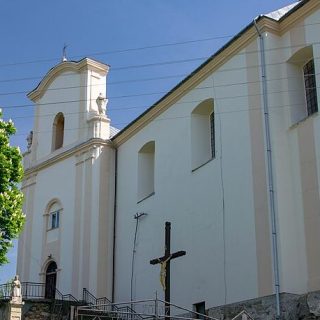 L'église de l'Exaltation de la Sainte-Croix à Budzanów, intégrée dans une structure de château. La façade présente une statue de la Vierge Marie Immaculée. Un grand arbre et une croix sont visibles au premier plan.