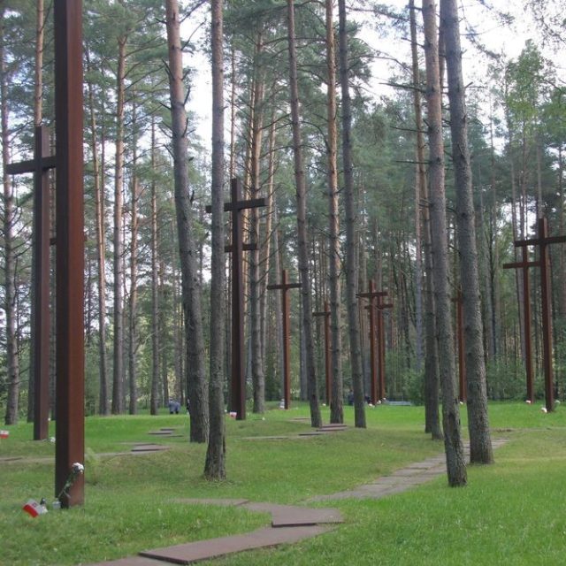 Une forêt parsemée de hautes croix métalliques parmi les arbres, faisant partie du lieu de mémoire de Katyn. L'herbe verte et le sentier qui traverse le site symbolisent le souvenir des victimes.