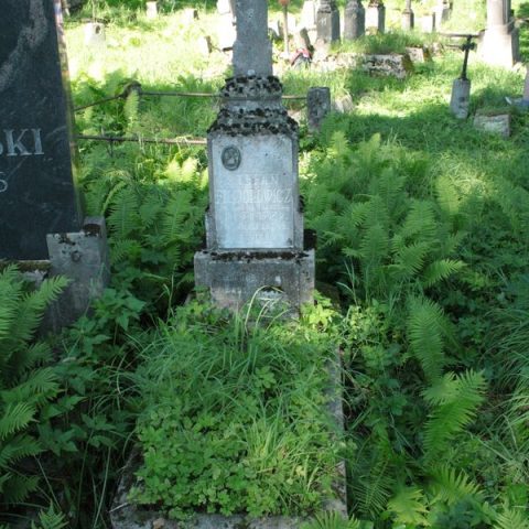 Nagrobek Stefana Fiedorowicza, cmentarz Na Rossie w Wilnie, stan z 2013 r.