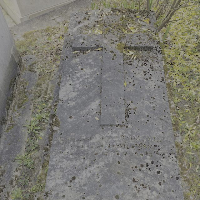 Nagrobek Adeli Radziwiłł z lekko skośną, schodkową podstawą i wypukłym krzyżem. Inskrypcja widoczna pod krzyżem. Otoczony zielenią i opadłymi liśćmi.