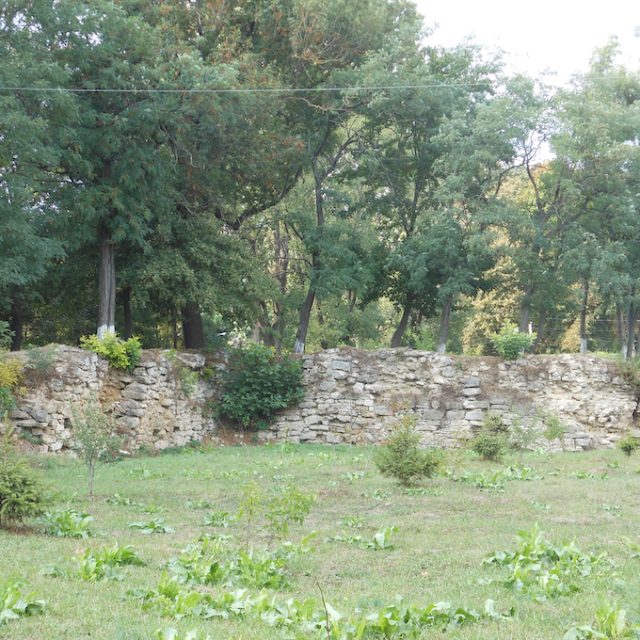 Fotografia niskiego kamiennego muru ruin twierdzy w Barze z trawnikiem na pierwszym planie i drzewami w tle