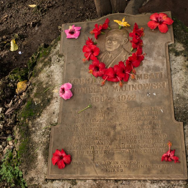 Fotografia brązowej tablicy pamiątkowej na ziemi z portretem w reliefie i napisem Bronisław Malinowski 1884 1942, otoczonej czerwonymi kwiatami hibiskusa, z tekstem po polsku i angielsku poniżej