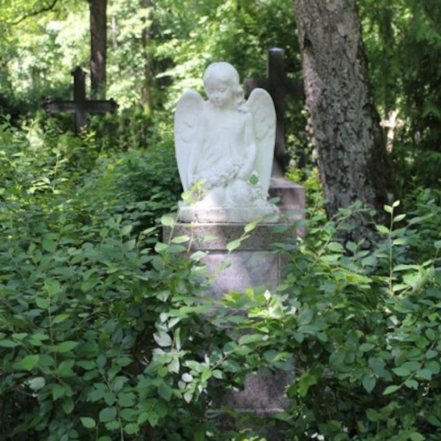 Photograph of an angel sculpture on a stone grave monument among dense greenery and trees at St Michaels Cemetery in Riga