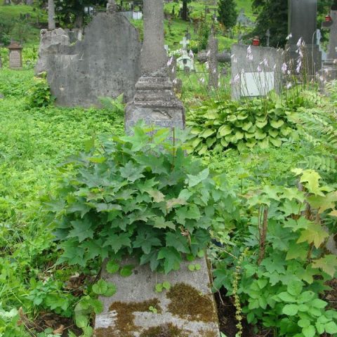 Tombstone of Michał Gołębiowski, Ross Cemetery in Vilnius, 2013